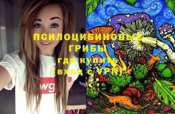 МДПВ Гусиноозёрск